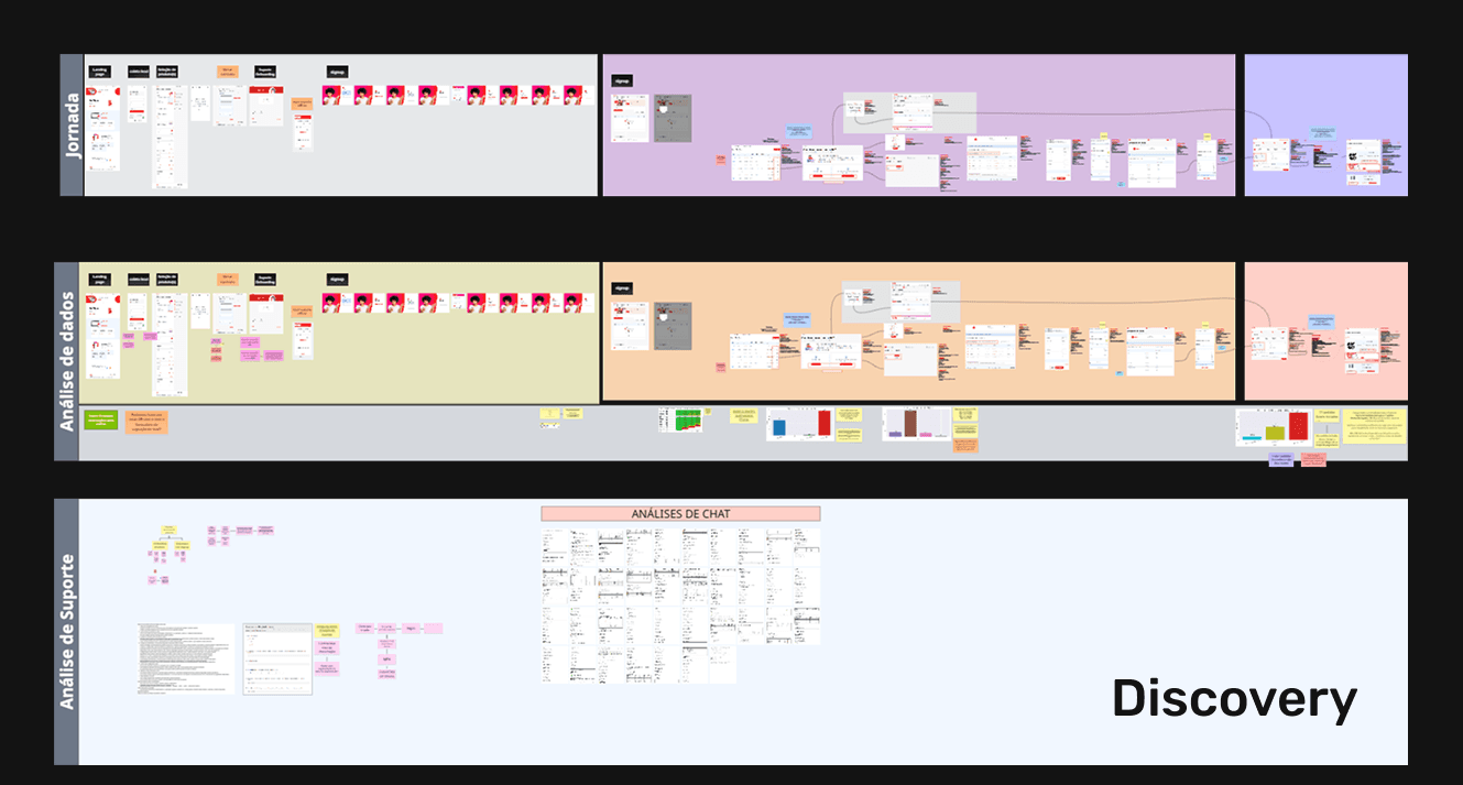 Discovery Phase and Behavior Mapping